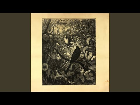 Matias Aguayo — Singular (It's A Fine Line Mix)
