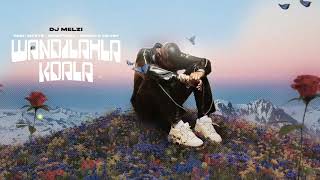 Dj Melzi - Wandilahla Kdala (Official Visualizer)