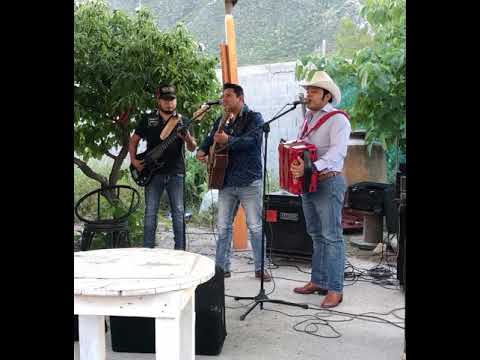 Jardín de flores - YouTube