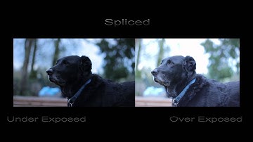 Magic Lantern HDR Video