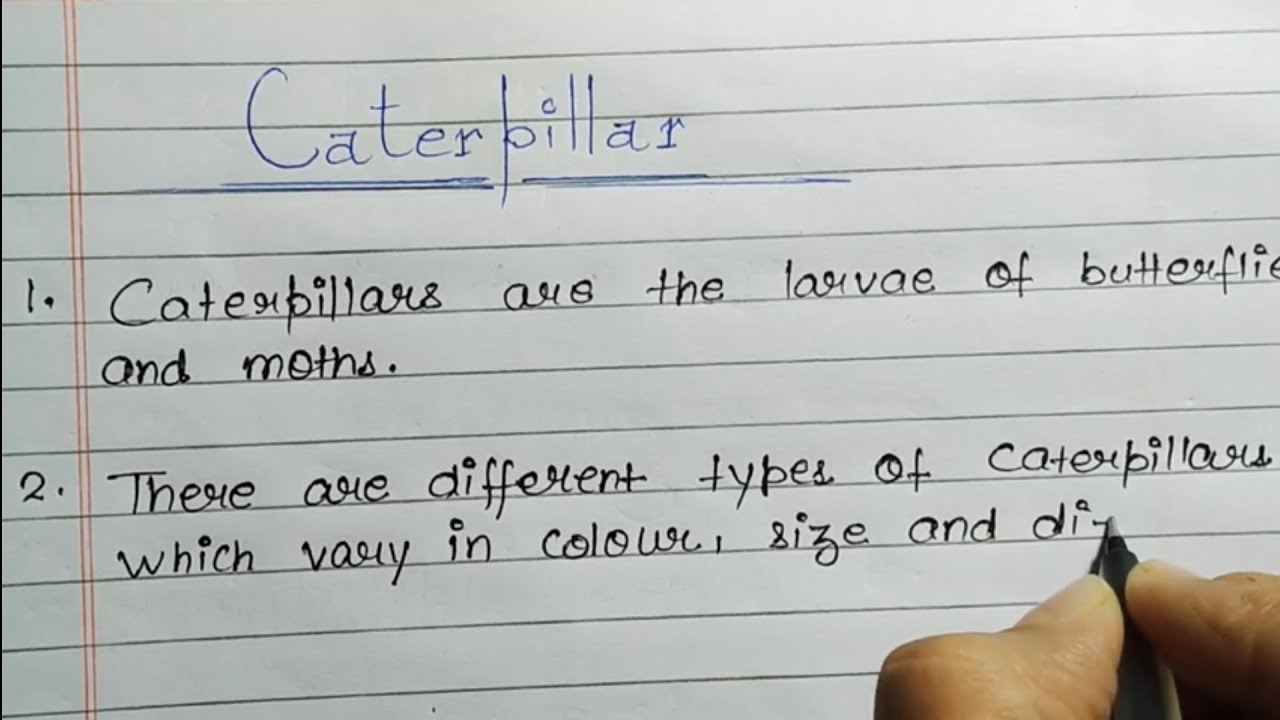 10 lines on Caterpillar in English|Essay on Caterpillarin English|Essay ...