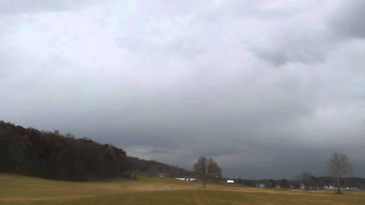 11 10 13 poszly konie po betonie 1 1