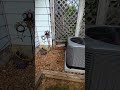 "I wish things where different.." --- #fypシ #hvac #hvacinstallation #hvaclife #bluecollar #real