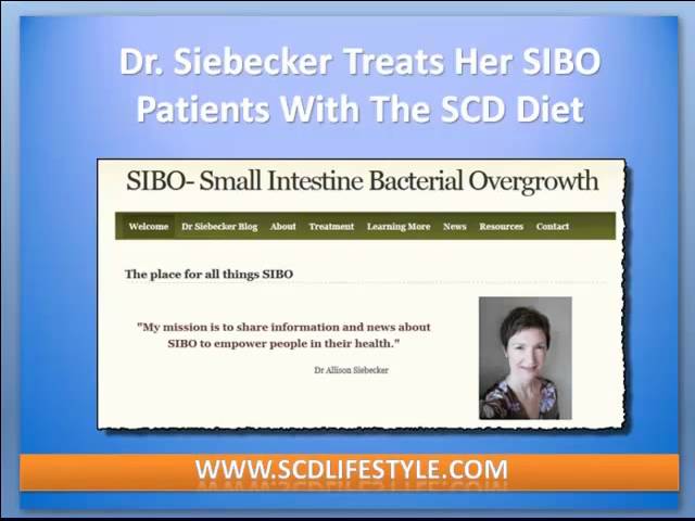 Sibo Info Elemental Diet For Leaky