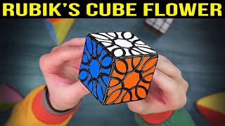 I got a package with the rarest Rubik`s cubes in the world