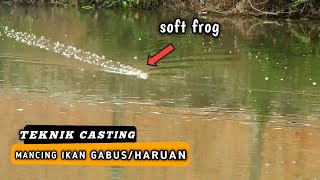 MANCING IKAN GABUS DENGAN TEKNIK CASTING || UMPAN SOFTFROG DAN JW -eps 37 screenshot 2