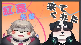 【コラボ】歌声が大好きな方が来てくれた！！！！
