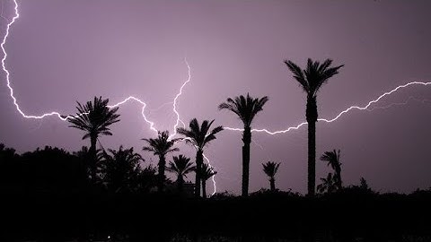 Tastemypp | evxzn | sxlution | exerus | habary