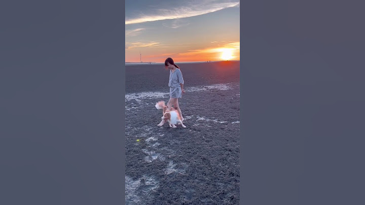 💃🐶 #邊境牧羊犬 #邊境牧羊犬nabi #共舞 #人狗共舞 #跳舞狗 #dog #狗狗 #dogdance #dogtricks