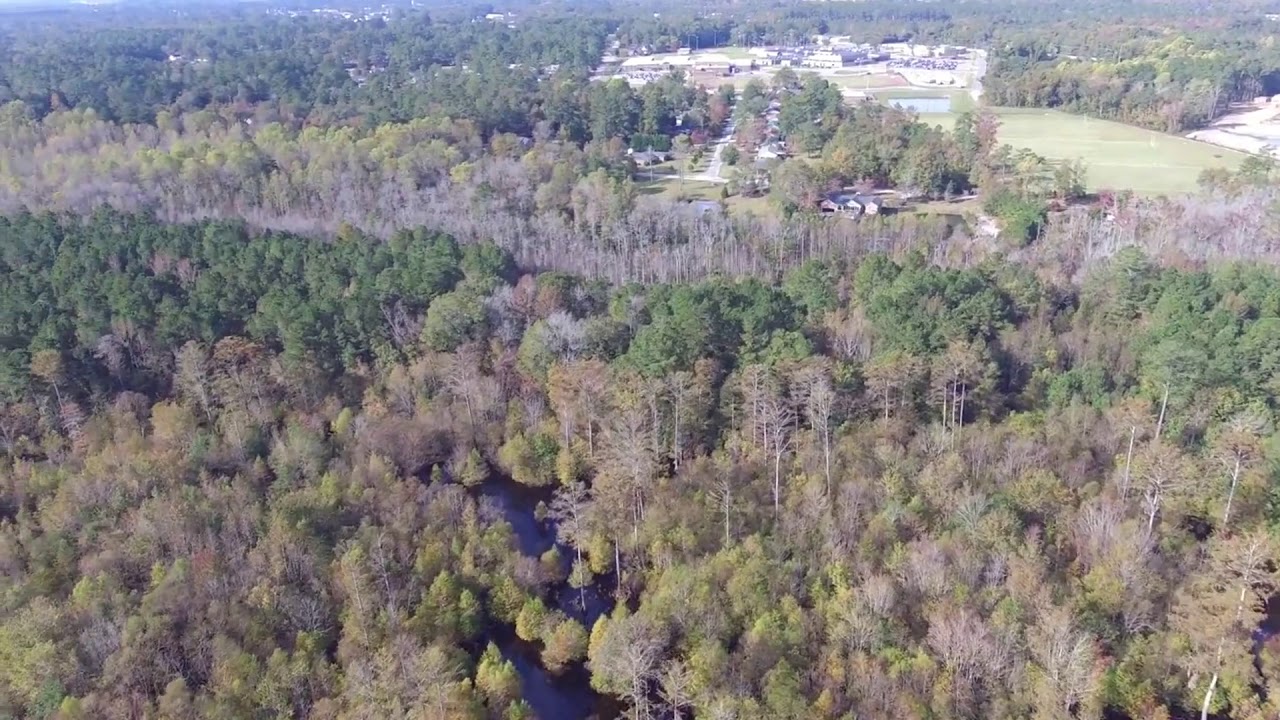 Little Pee Dee River Frontage Acreage For Sale YouTube
