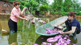 FREE LIFE: Bad Days When Fish Farming D.I.E.D - Drop the Net to Catch Fish Goes to the Market Sell