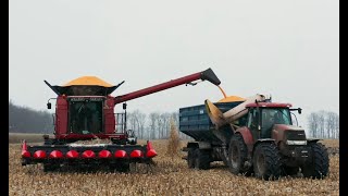 видео: Презентація комбайну Case IH Axial-Flow 6150 на полі ТОВ  картинка: Презентація комбайну Case IH Axial-Flow 6150 на полі ТОВ