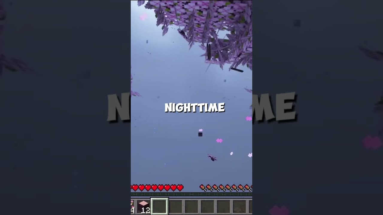 MINECRAFT MOTIVATION || YTSHORTS2026