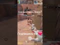 #standoff2 #стандофф2 #стендофф2 #so2 #csgo #cs2 #рекомендации #рек #реки #edit #b4bayan4ik #мемас
