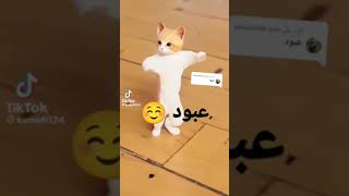 شيله ب اسم عبود