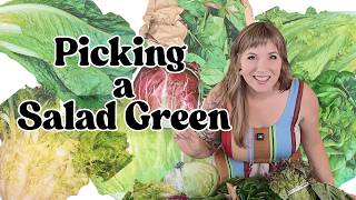 How to Pick a Salad Green How to Pick a Salad Green