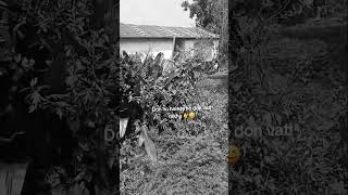 Eayo Eayo Kta Ho Don Lai Vateko Video