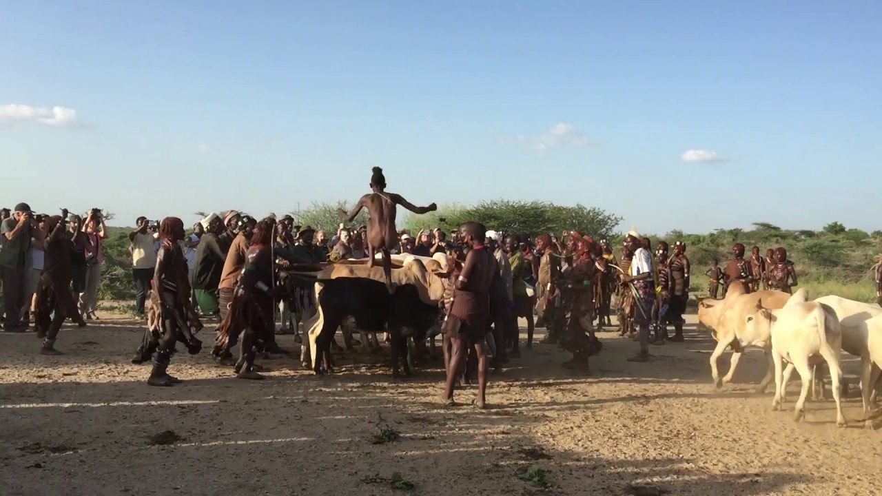 Hamer Tribe Omo Valley YouTube