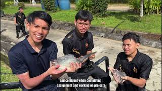 VISUME COMMUNICATIVE ENGLISH 3.