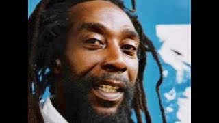 Peter Broggs - Jah Golden Throne - Dubwise