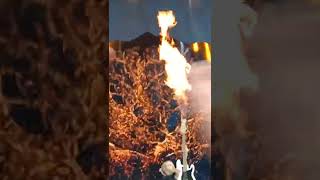 Celebrity FOB Pete Wentz makes fire shoot out his bass guitar! Profile