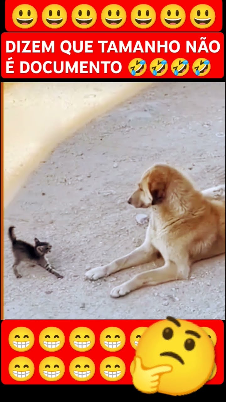 @DIZEM QUE TAMANHO NÃO É DOCUMENTO 🤣🤣🤣🤣🤣 - YouTube