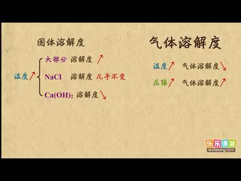 10气体溶解度  溶液  初中化学