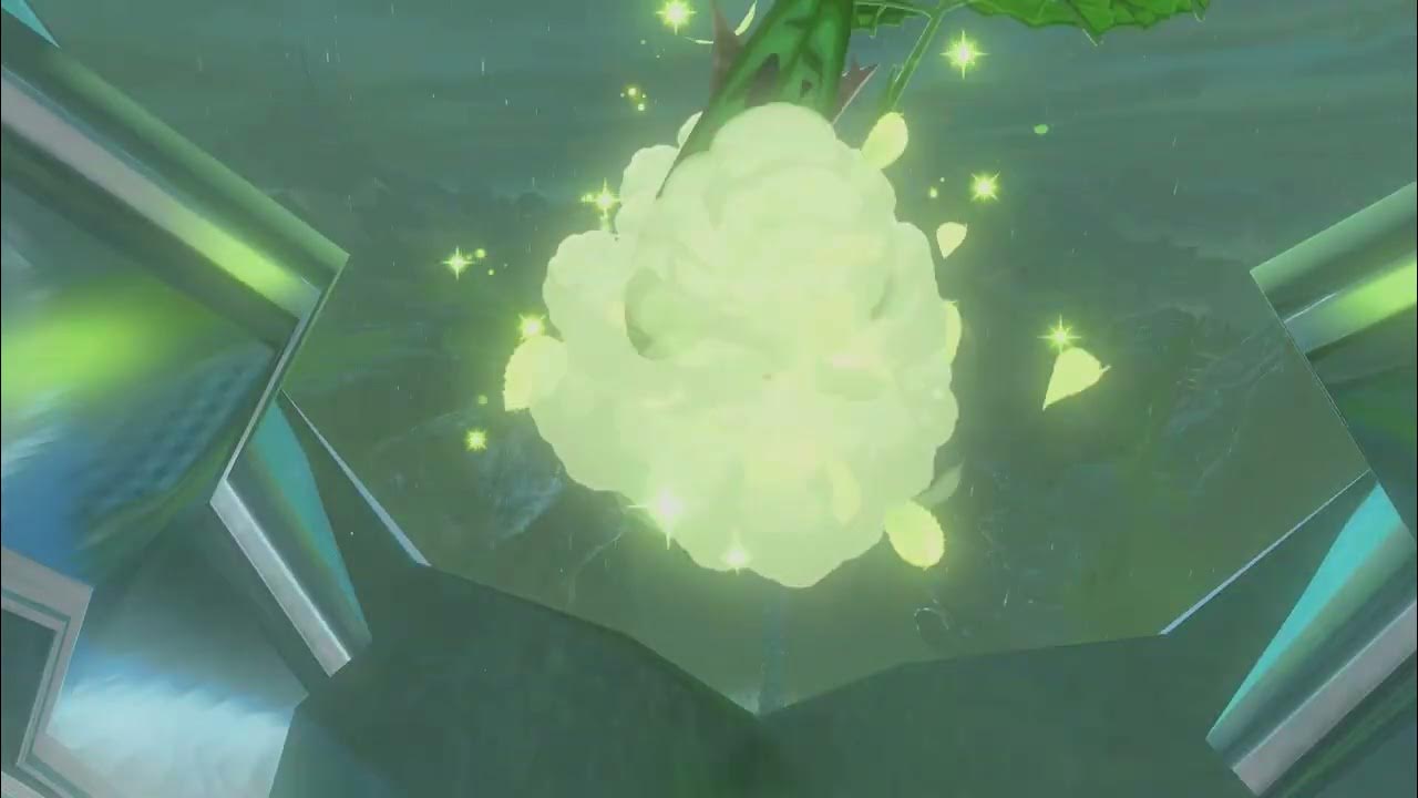 Korok Seed 504505, Zora Domain The Legend of Zelda Tears of the
