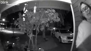 Woman gets carried away in attempted kidnapping - VIDEO Net Worth