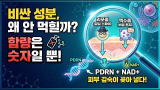 리포좀과 엑소좀 함량은 숫자일 뿐! PDRN·NAD  피부 침투의 기술