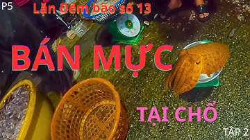 THÀNH QUẢ KHỦNG TRONG BÃO 🌊 Mực, Bạch Tuộc, Hải Sản Đầy Ghe | Thợ Lặn Lagi-P5-T2