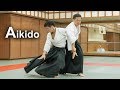 Aikido - Softness and Instantaneous force SHIRAKAWA RYUJI shihan