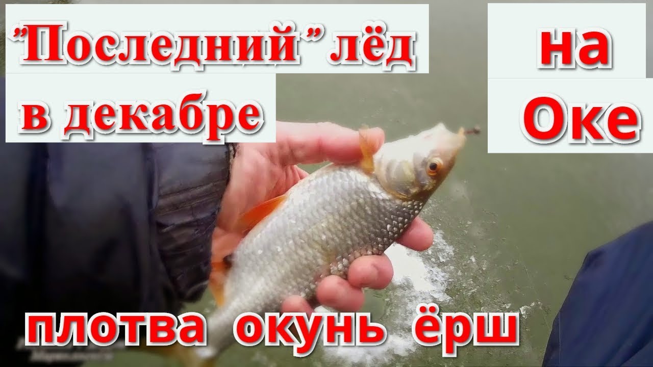 Где ловить на оке