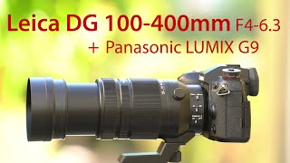 Leica DG 100-400mm f4-6.3 with Panasonic Lumix G9