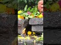 mahakaleshwar arati
