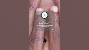 An Ayah from Surah Al Namil | آيه من سورة النمل🍃