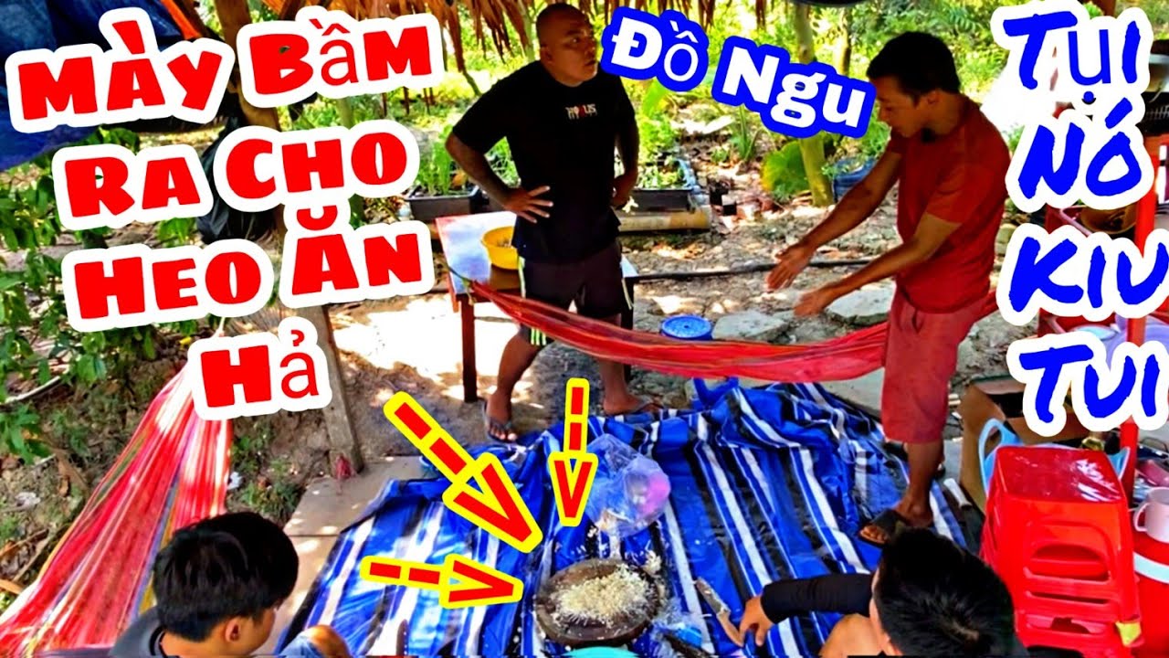 TXTV - Tụi nó kêu tui làm chớ tui không biết gì hết nha | Ku Lùn Ngơ ngác không hiểu chuyện gì