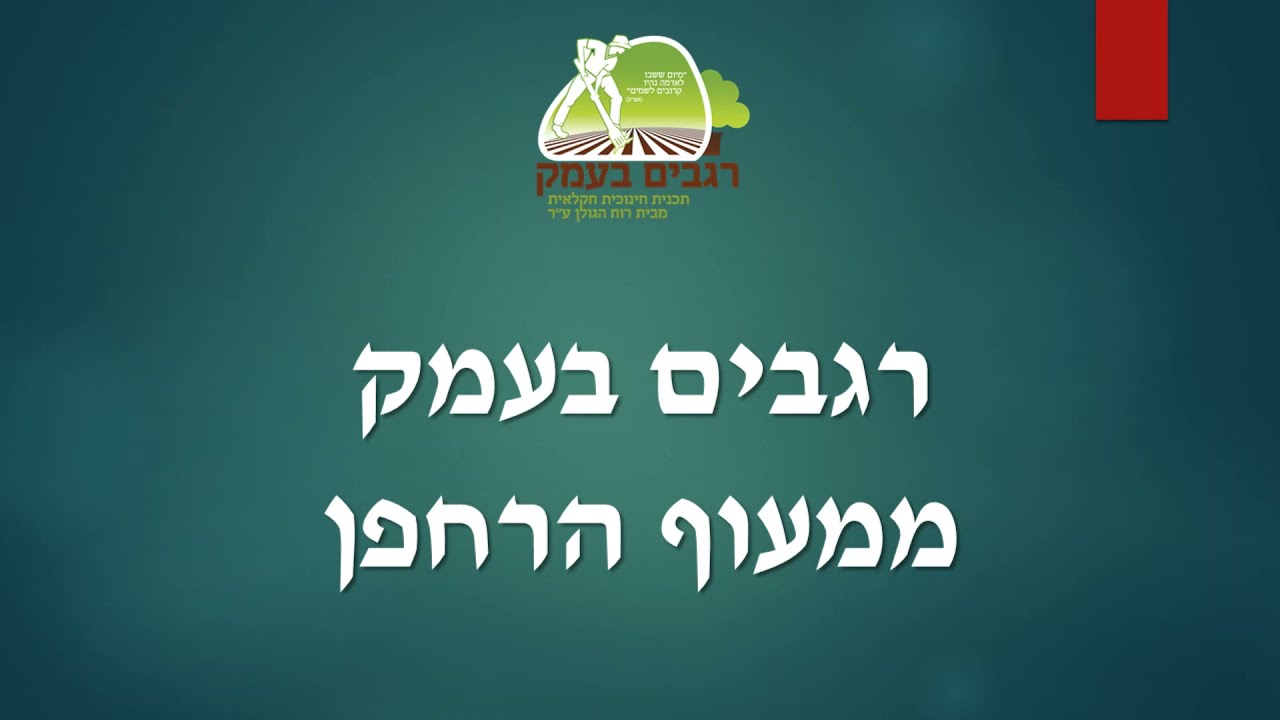 רגבים בעמק ממעוף הרחפן