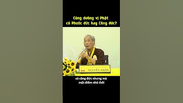 Cúng dường một vị Phật có Phước đức hay Công đức? @todinhchuathientongtandieu273