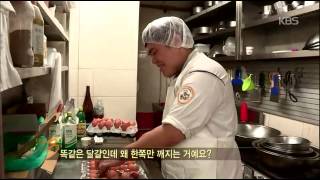다큐멘터리 3일 - Documentary Three Days 20141019 #007
