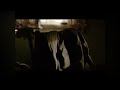 The Real Cost - Jeans (USA, 2019)