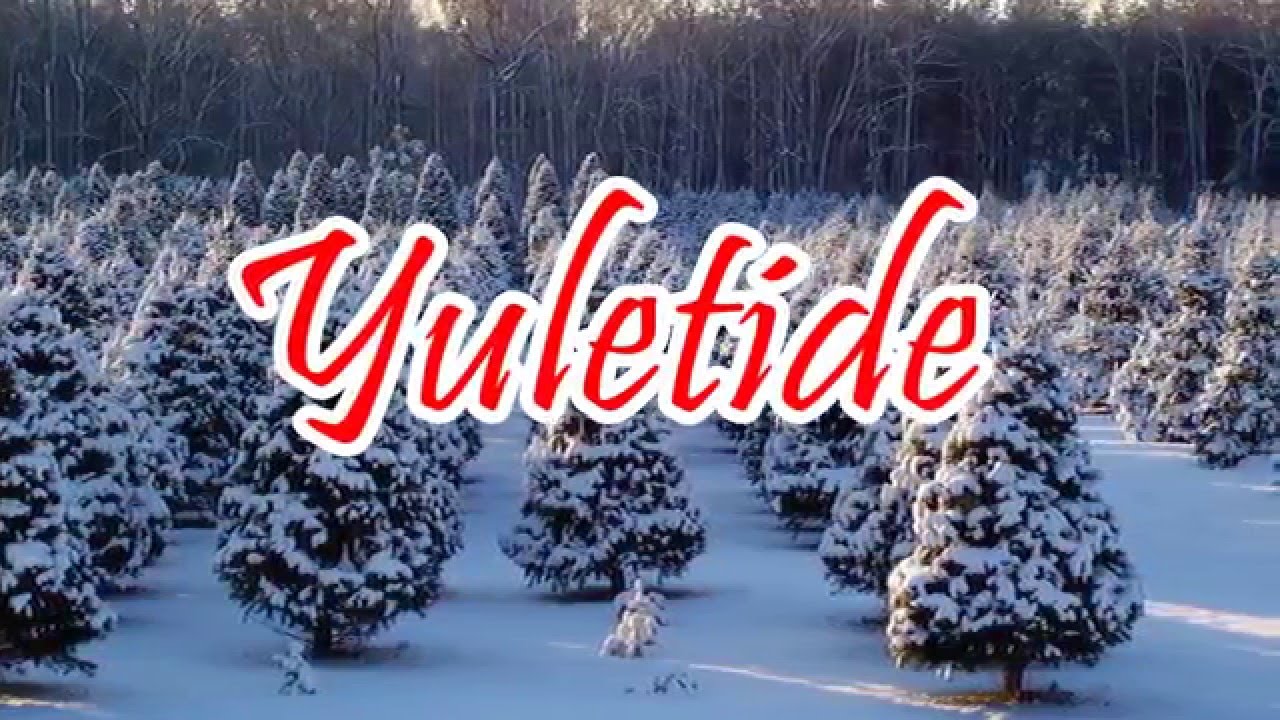 Yuletide Tree Farm Quality Christmas Trees YouTube
