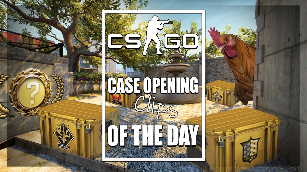 CSGO Case Opening Highlights Of The Day