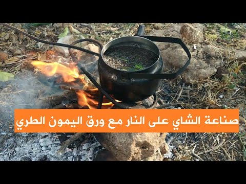 ألذ شاي على النار مع ورق الليمون الطري 