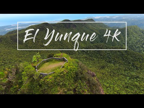 Video: Juhend El Yunque rahvusliku vihmametsa külastamiseks