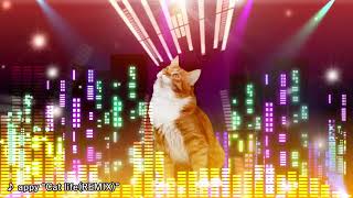 Cat life(REMIX)