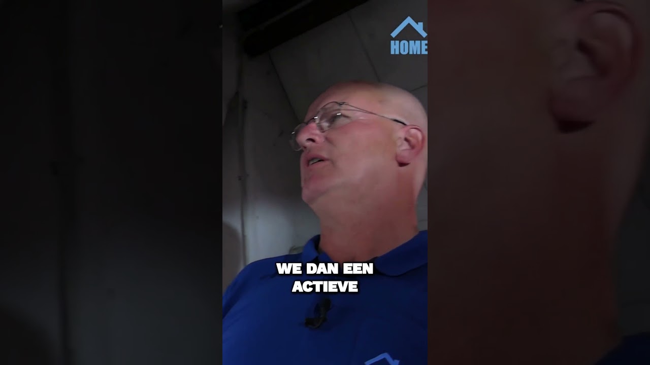 Houtworm Detectie: Actief vs Inactief!