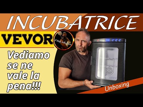 Video: Ne vale la pena l'incubatrice?