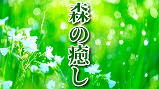 【自律神経に優しい音楽】《森の癒し》 穏やかなピアノの音色に癒される…最高のリラクゼーション、鳥のさえずりと川のせせらぎ