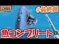 最後の難関が…目指せ!!魚コンプリート!!バラエティキット釣り実況Part4(最終回)【NintendoLabo】